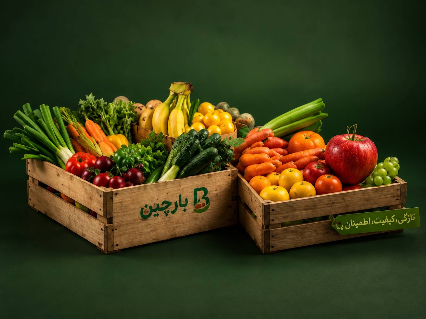 بارچین - میوه تازه