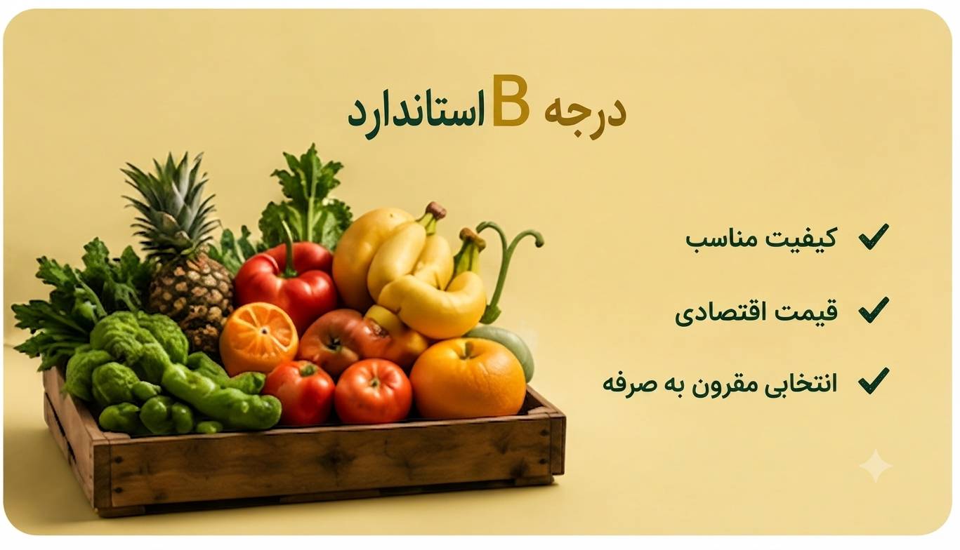درجه B - استاندارد